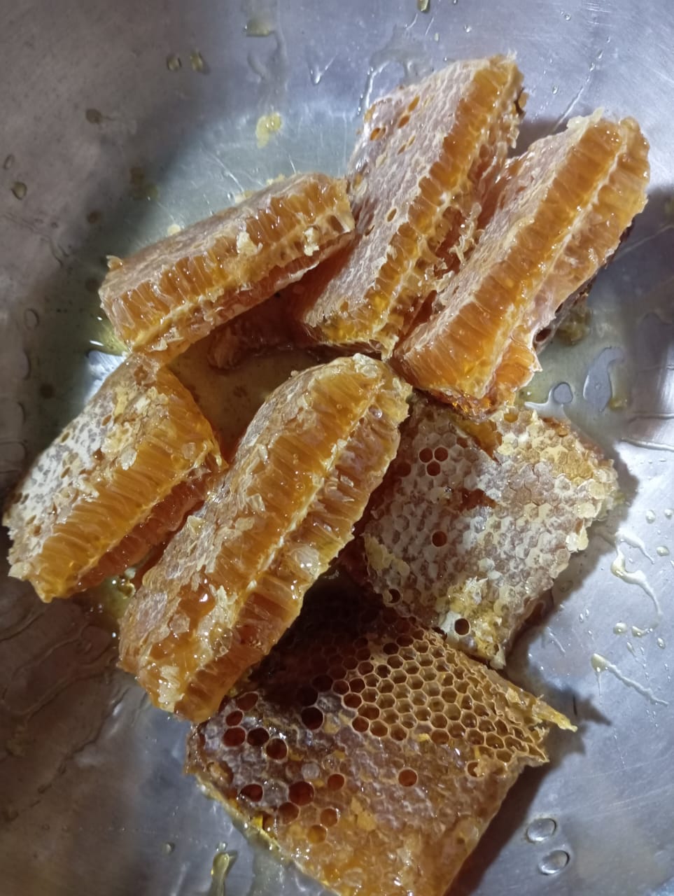 Venta de Miel de abeja