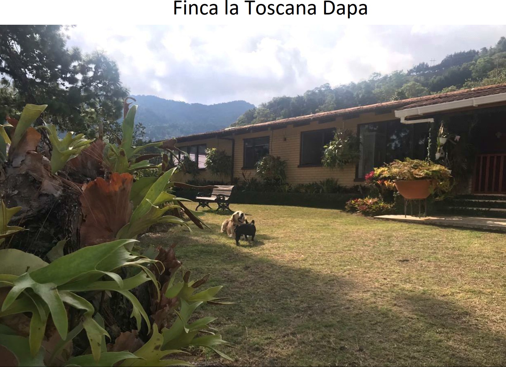 ALQUILER DE FINCA EN DAPA